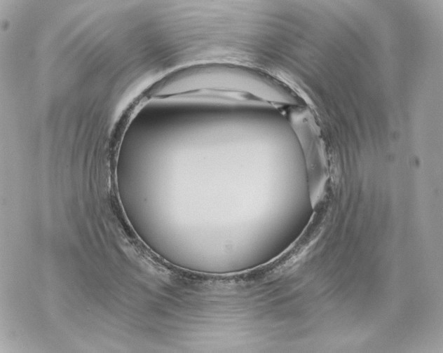 X0000069811069200606161843