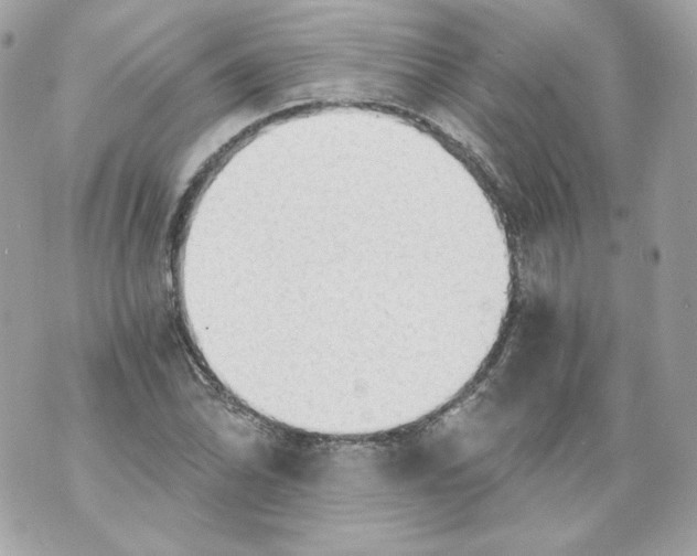 X0000069811070200606161843