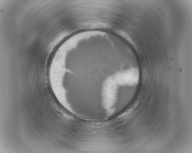 X0000069811071200606161843