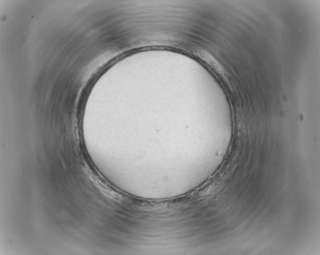 X0000069811072200606161843