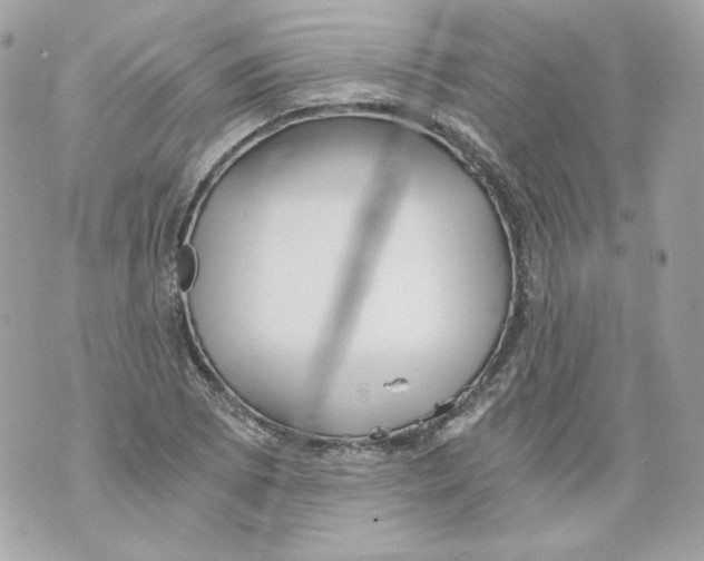 X0000069811073200606161843