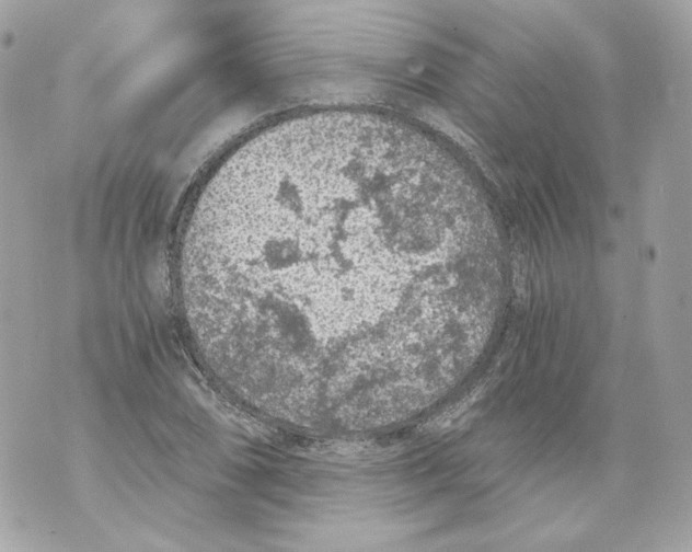 X0000069811074200606161843