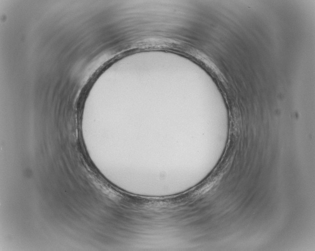 X0000069811075200606161843