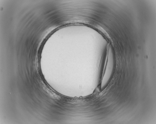 X0000069811076200606161843