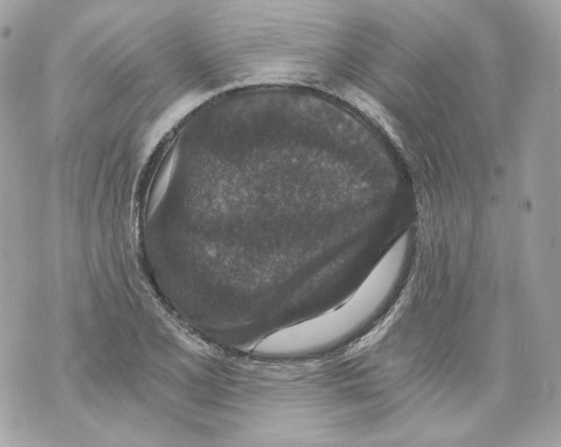 X0000069811077200606161843