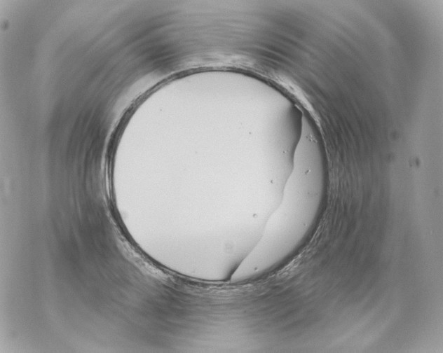 X0000069811080200606161843