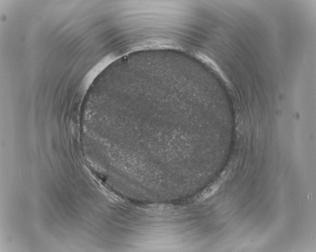 X0000069811081200606161843