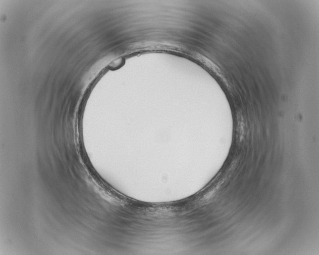 X0000069811082200606161843