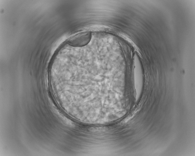 X0000069811083200606161843