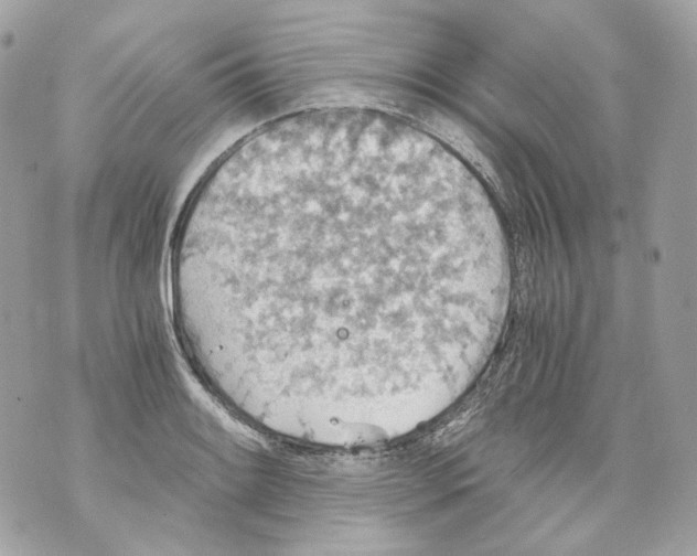 X0000069811084200606161843