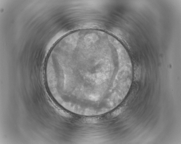 X0000069811086200606161843