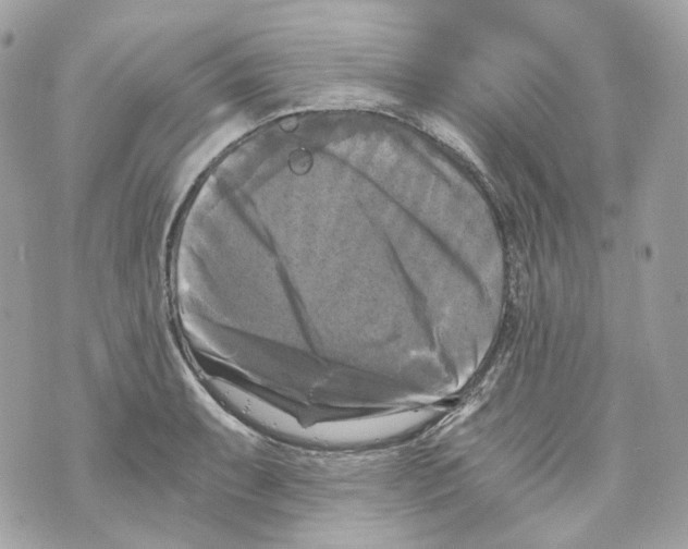 X0000069811087200606161843