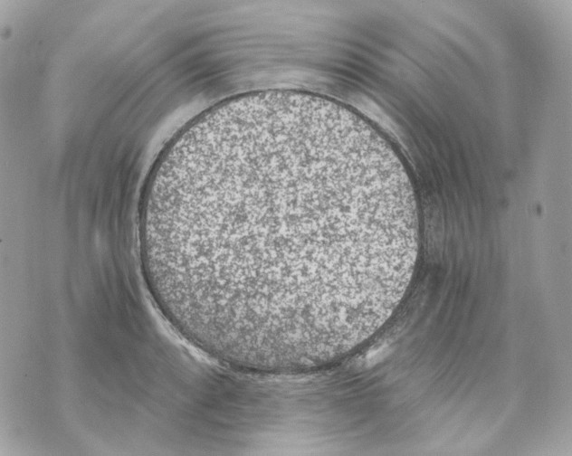 X0000069811088200606161843