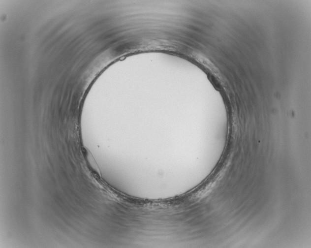 X0000069811089200606161843