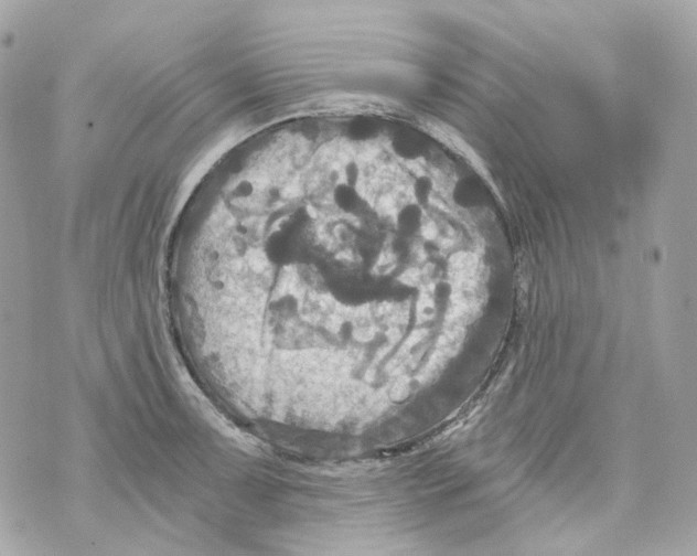 X0000069811091200606161843