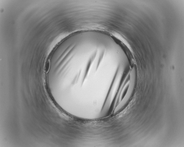 X0000069811093200606161843