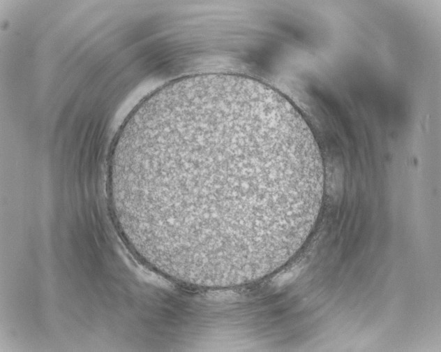 X0000069811094200606161843