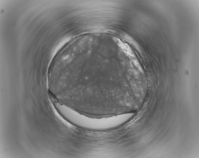 X0000069811095200606161843