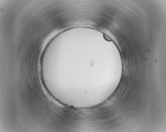 X0000069811096200606161843