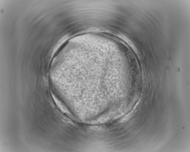 X0000069811097200606161843