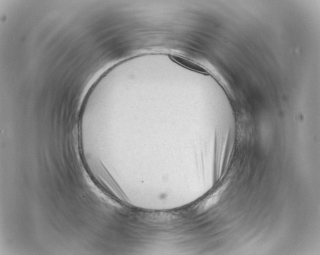 X0000069811100200606161843