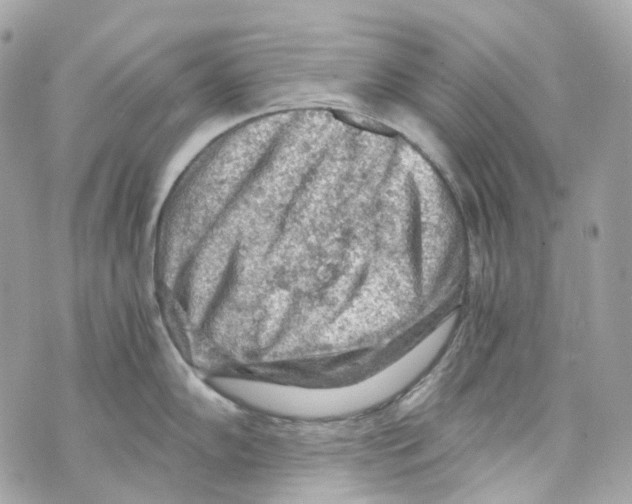 X0000069811102200606161843