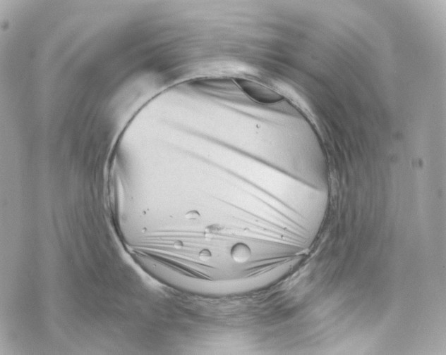 X0000069811103200606161843