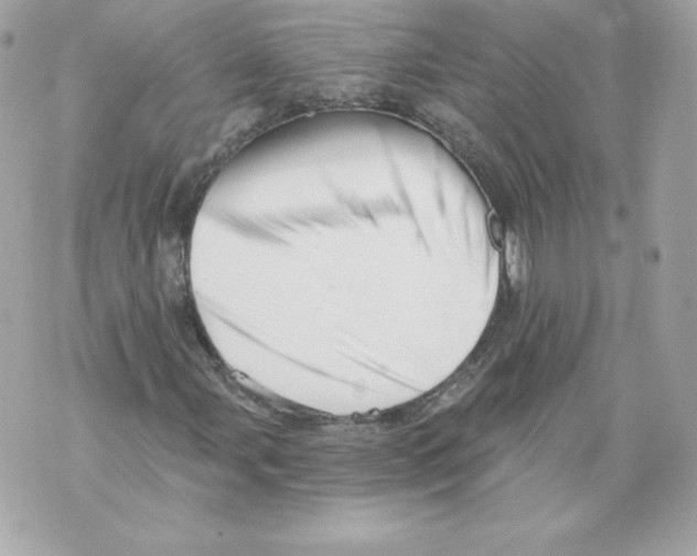 X0000069811107200606161842