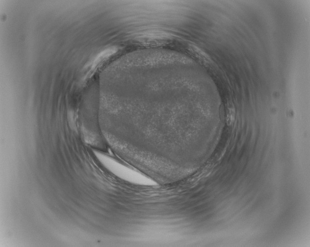 X0000069811108200606161842