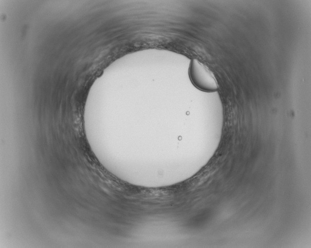 X0000069811109200606161842