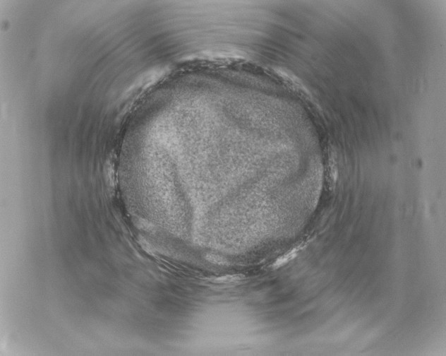 X0000069811110200606161842