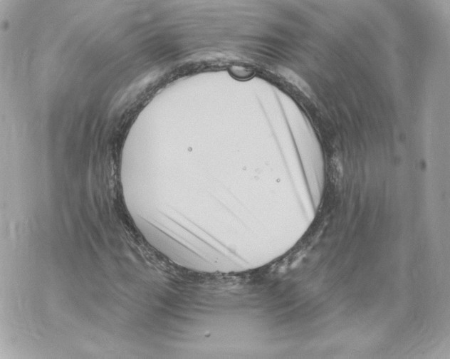 X0000069811111200606161842