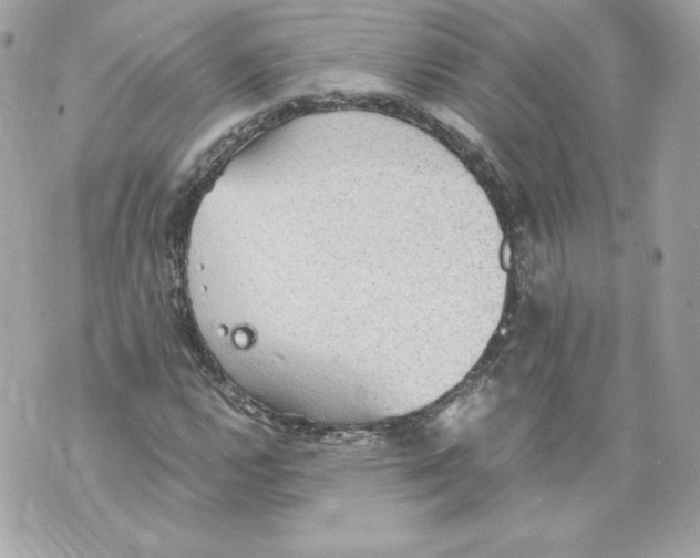 X0000069811112200606161842