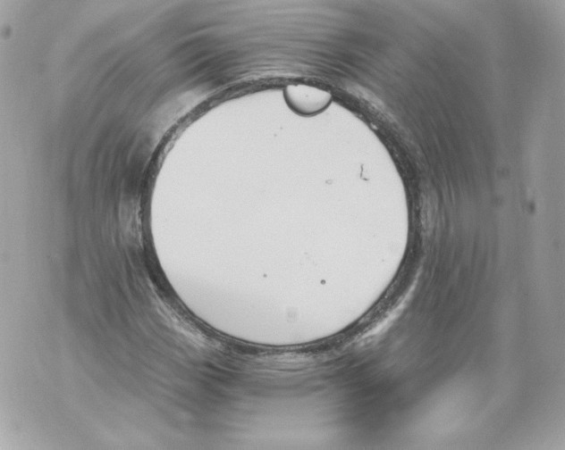 X0000069811113200606161842