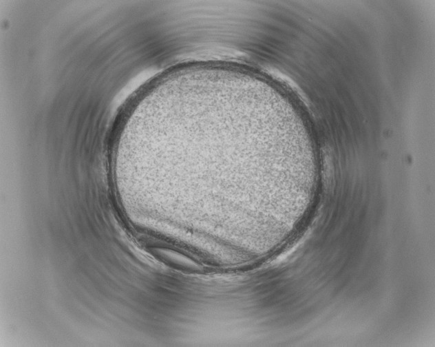 X0000069811114200606161842