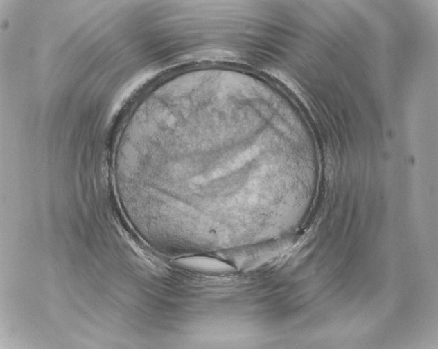 X0000069811115200606161842