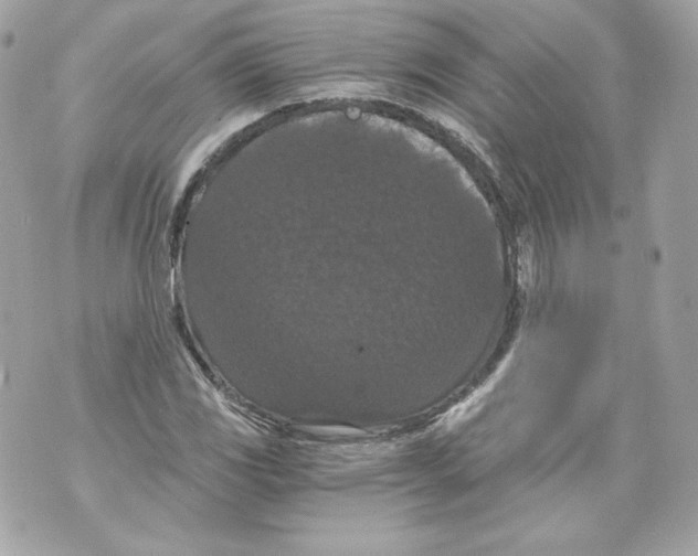 X0000069811117200606161842