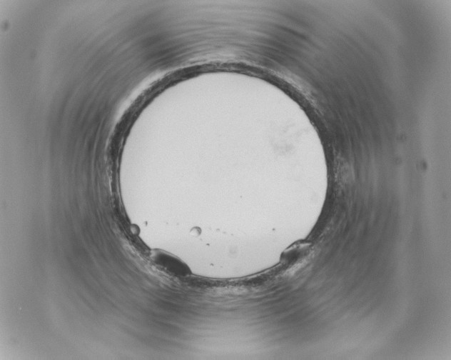 X0000069811118200606161842