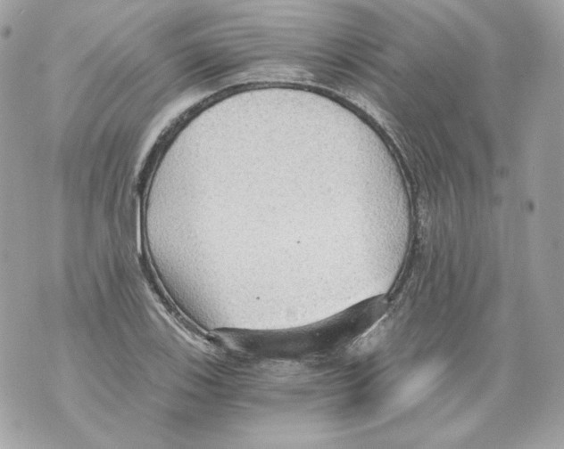 X0000069811123200606161842