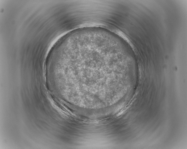 X0000069811124200606161842