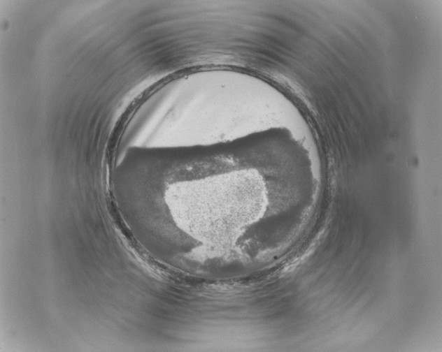 X0000069811125200606161842