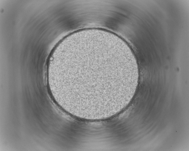 X0000069811126200606161842