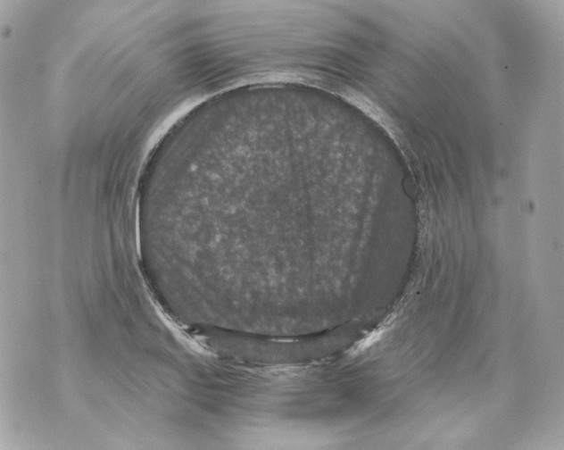 X0000069811127200606161842