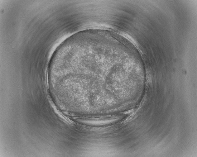 X0000069811128200606161842