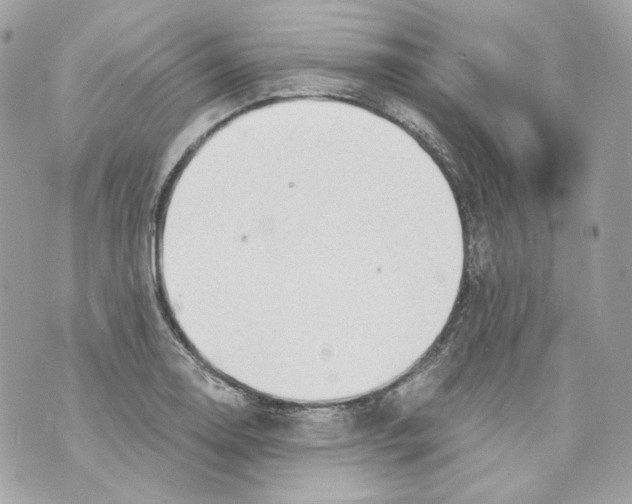 X0000069811130200606161842