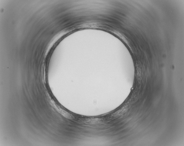 X0000069811131200606161842