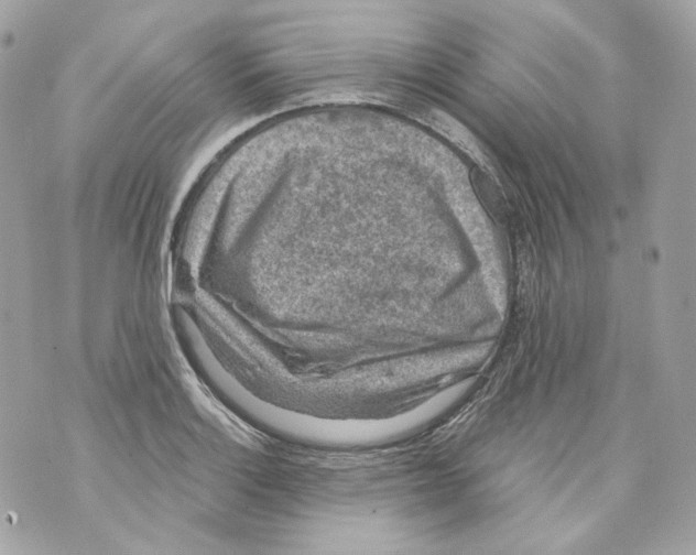 X0000069811132200606161842