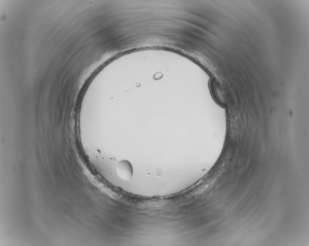 X0000069811134200606161842