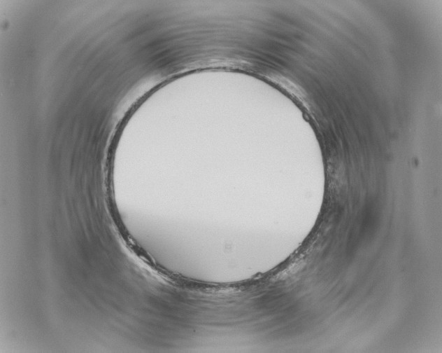 X0000069811135200606161842