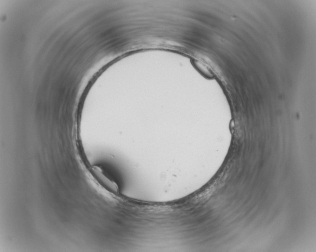 X0000069811136200606161843